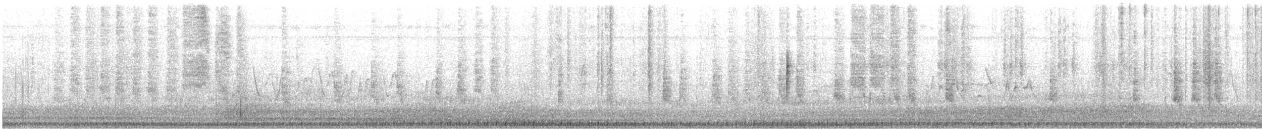 Common Yellowthroat (chapalensis) - ML516330921