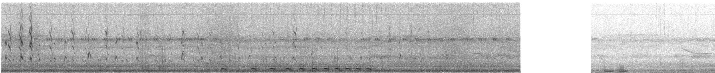 Kara Karınlı Islıkçı Ördek - ML516333791