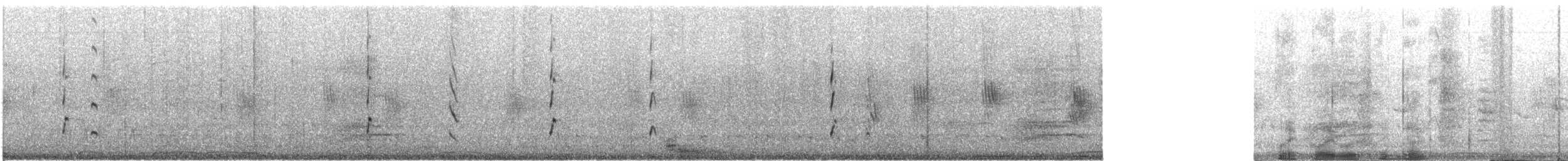 Kara Karınlı Islıkçı Ördek - ML516334721