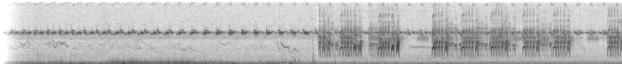 Weißkehl-Zwergtyrann - ML516342