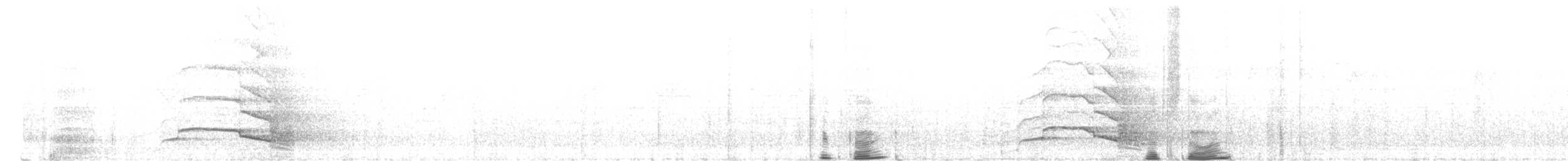 Yellow-tailed Black-Cockatoo - ML516363831