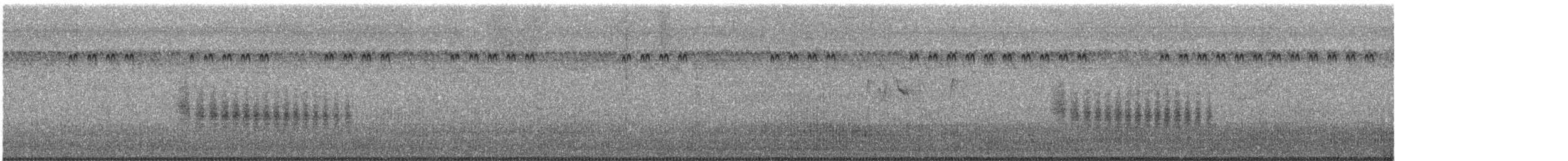 White-tailed Iora - ML516386281