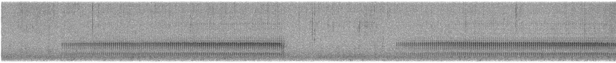 Kordillerentapaculo - ML516396711