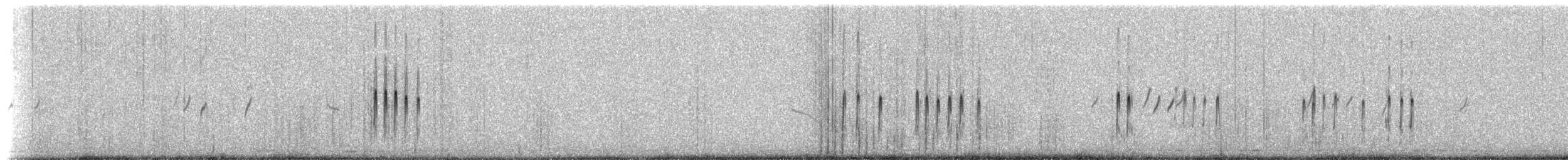 Plectrophane de Smith - ML516401