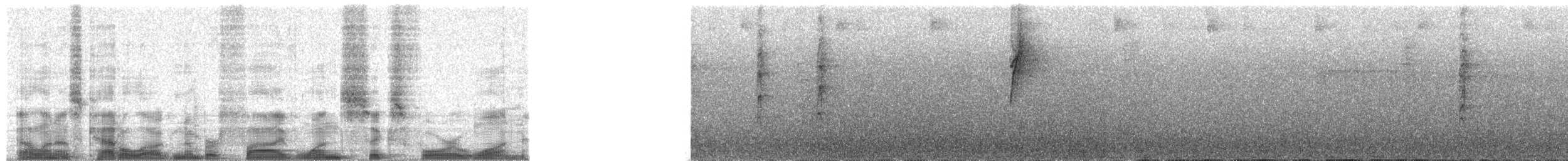 Schwarznackentangare - ML51641