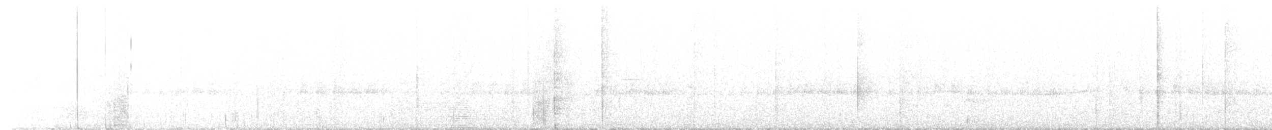 střízlík karolínský (ssp. albinucha/subfulvus) - ML516437111