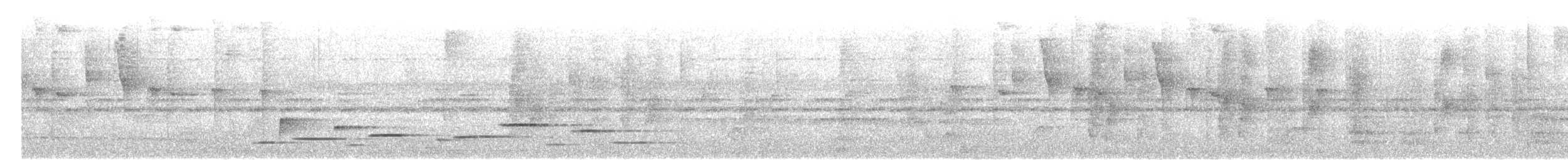 Troglodyte arada (salvini) - ML516439331
