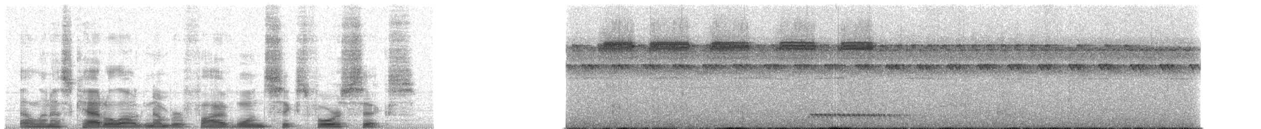 Rostkehl-Ameisenpitta - ML51646