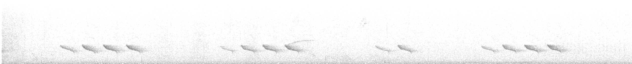 Flat-billed Vireo - ML516468771