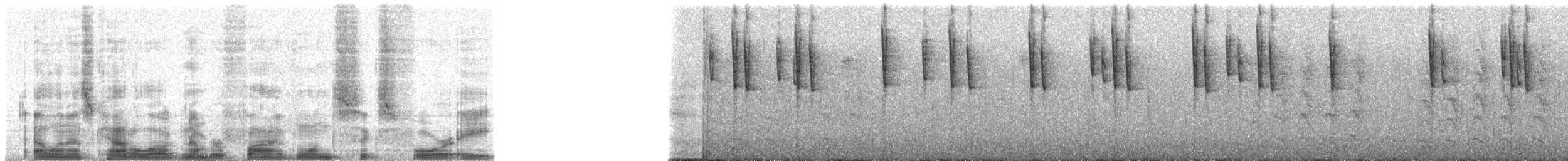 Tacarcuna-Grünammer - ML51648