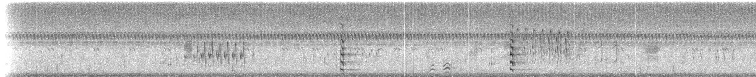 amerikasivhøne (galeata gr.) - ML516486