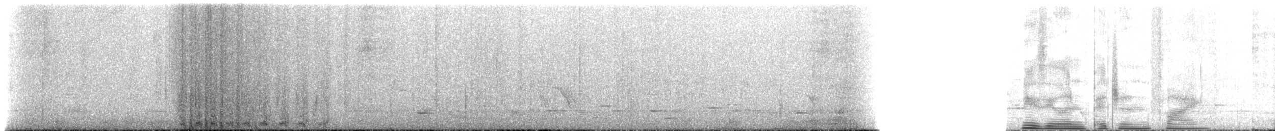 holub maorský - ML516544