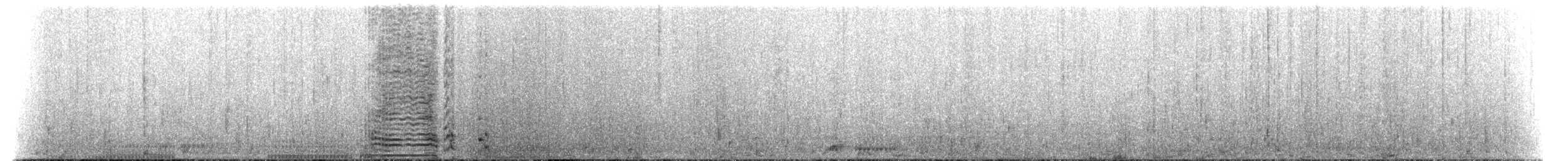 Little Penguin - ML516547