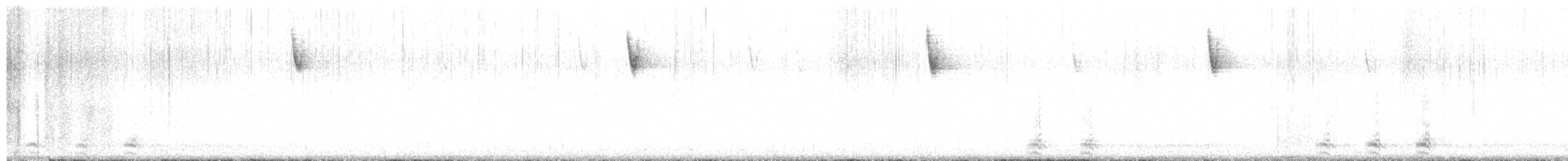 Common Raven - ML516667051