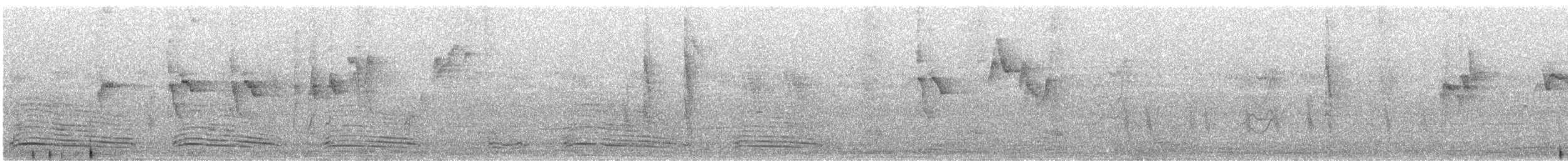 White-tailed Blue Flycatcher - ML516721891