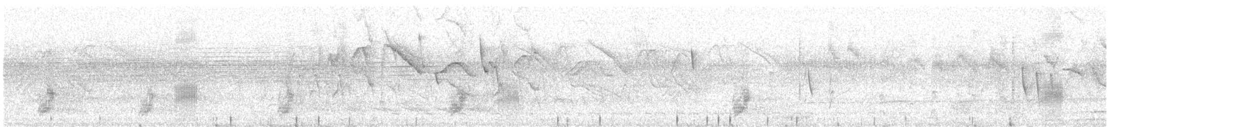 Бекарда велика (підвид braziliensis) - ML516724081
