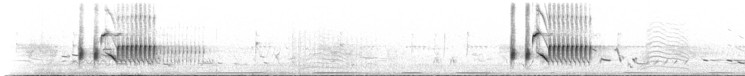 Пятнистый тохи - ML516733