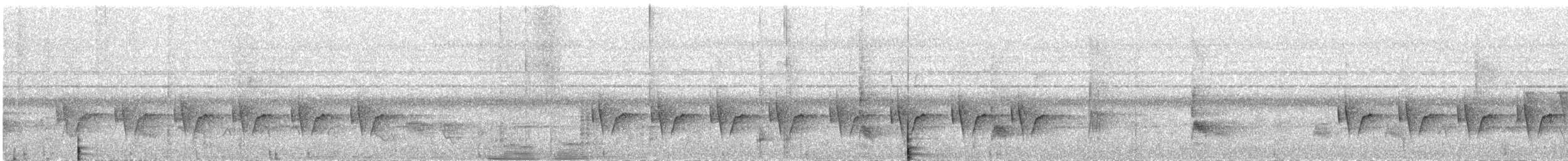 Grünmantel-Bogenflügel - ML516733191