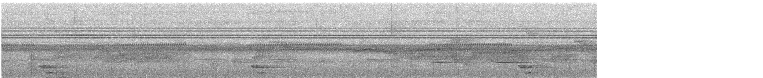 Black-tailed Oriole - ML516733901