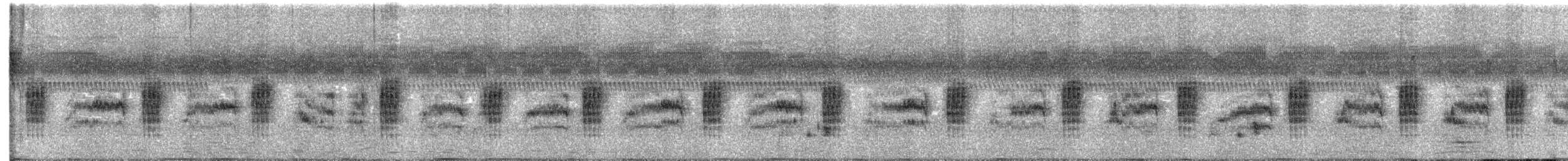 Chestnut-capped Babbler - ML516735741