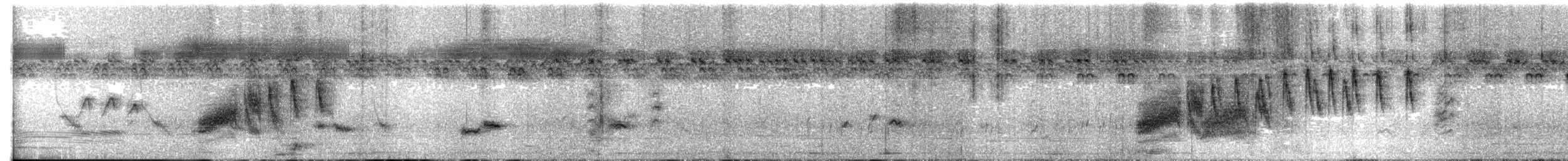 Chestnut-capped Babbler - ML516735771