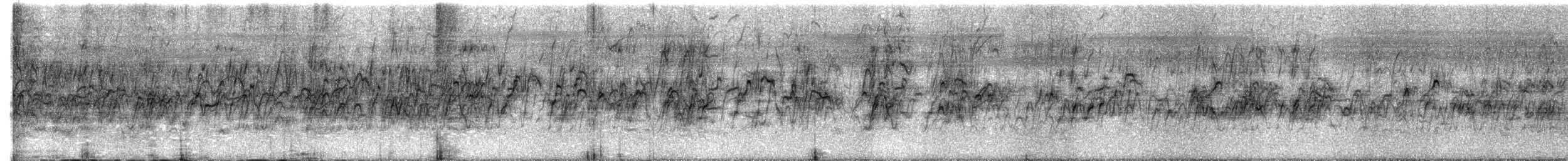 Lesser Whistling-Duck - ML516736181