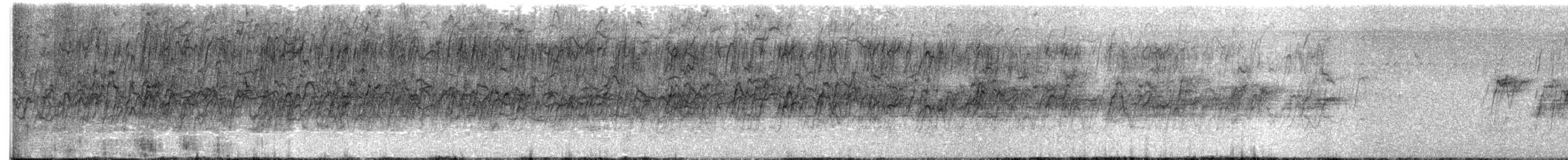 Lesser Whistling-Duck - ML516736191