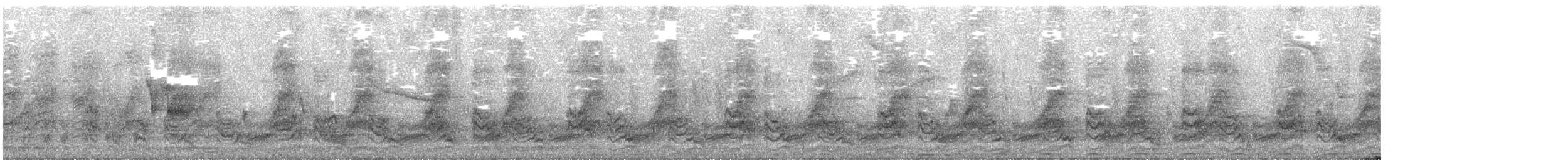 Weißaugen-Drosselhäherling - ML516746091