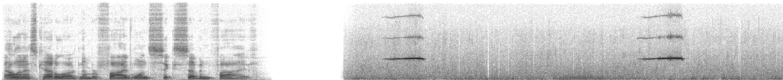 Schwarzbauch-Sturmschwalbe - ML51675