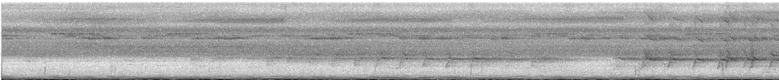 Perruche de Geoffroy - ML516799331