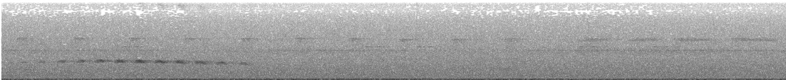 Schmalbrauen-Ameisenschnäpper - ML516831301