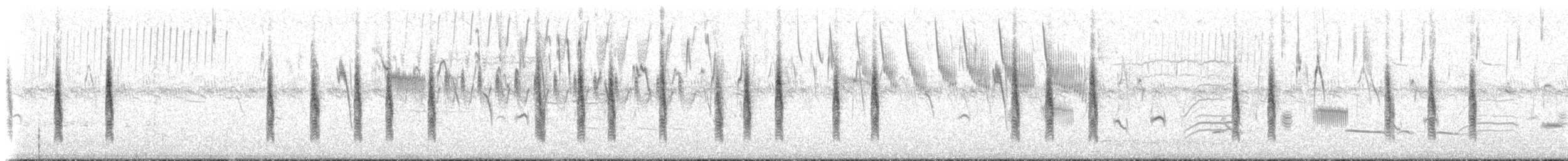 Травяной крапивник (platensis/polyglottus) - ML516878