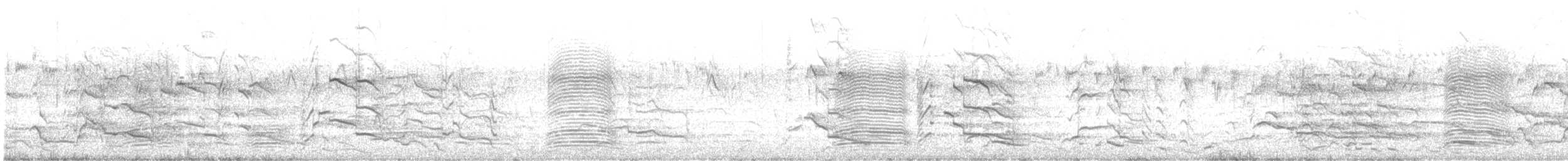 Carnaby Siyah Kakadusu - ML516887741