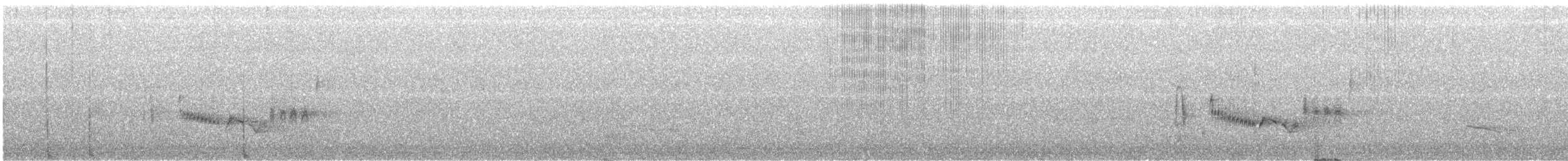 Viréo aux yeux blancs - ML51689461