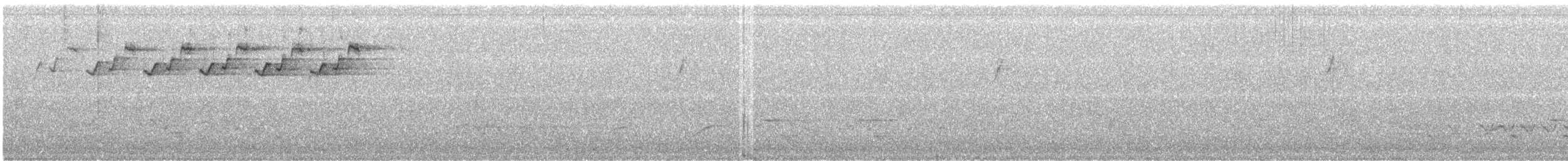 Paruline noir et blanc - ML51690431