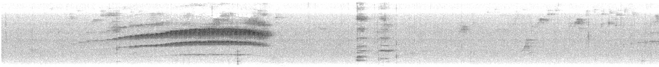 strømkryper - ML516911731