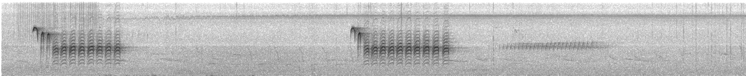 Mésange de Caroline - ML51691301