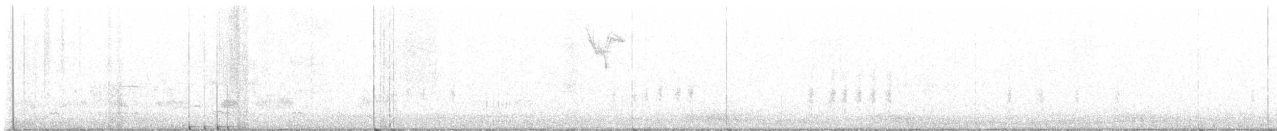 Black-tailed Gnatcatcher - ML516917611