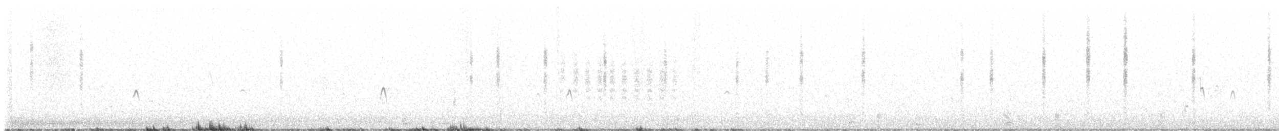 Troglodyte des marais - ML516919781