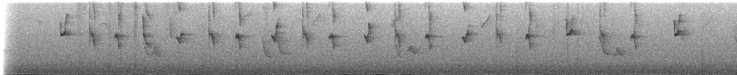 hummingbird sp. - ML516939