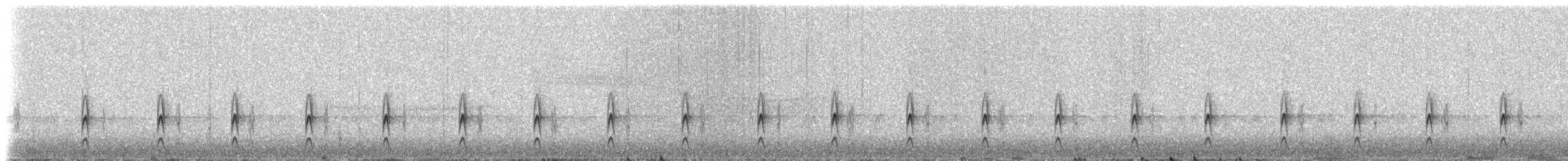 Puna Tapaculo - ML516940