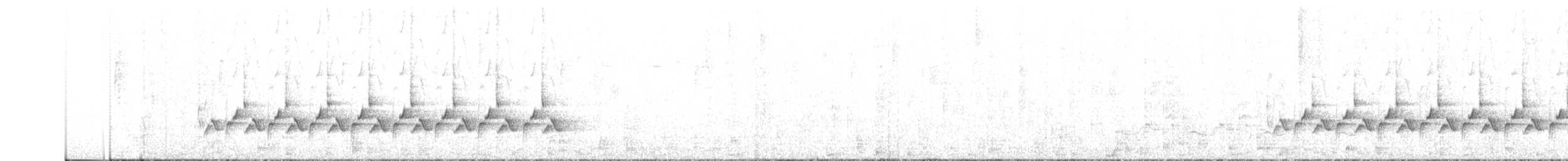 Поплітник каролінський - ML51694391