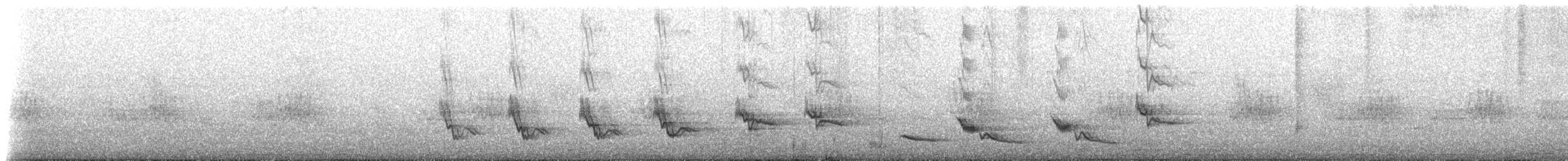 Long-tailed Mockingbird - ML516944