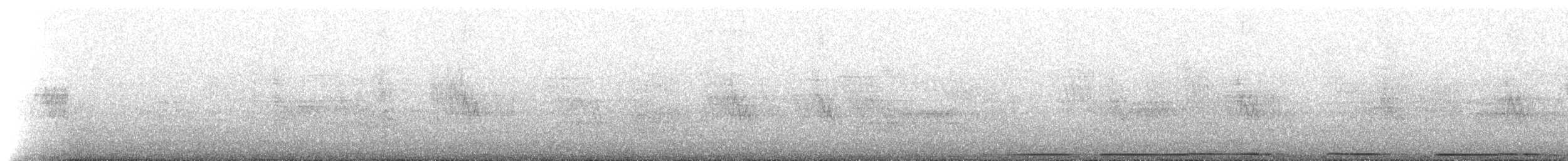 White-winged Dove - ML516946