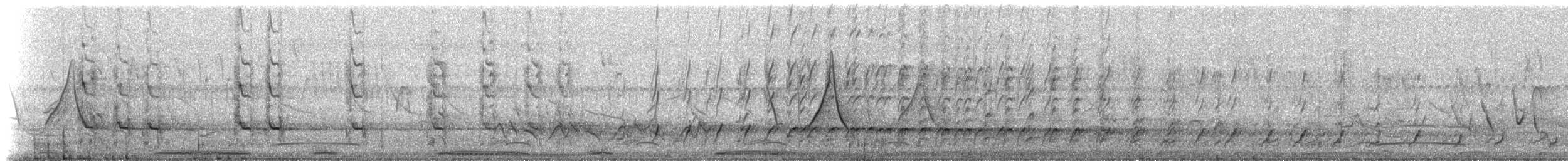 Spot-winged Pigeon (maculosa) - ML516949