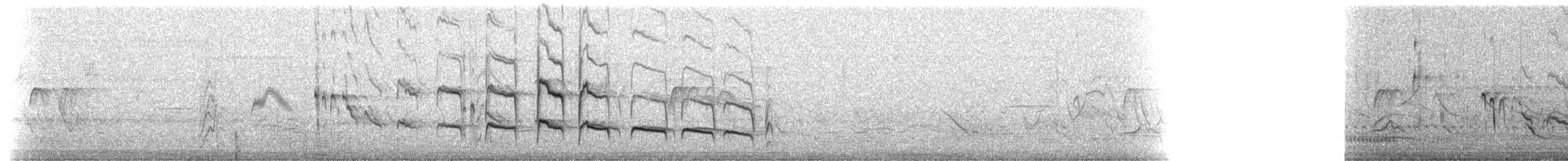 Narrow-billed Woodcreeper - ML516950