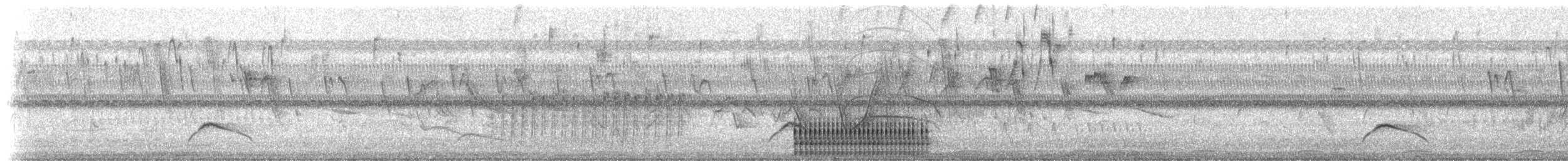 Checkered Woodpecker - ML516952