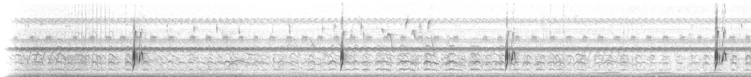 Streaked Flycatcher - ML516953