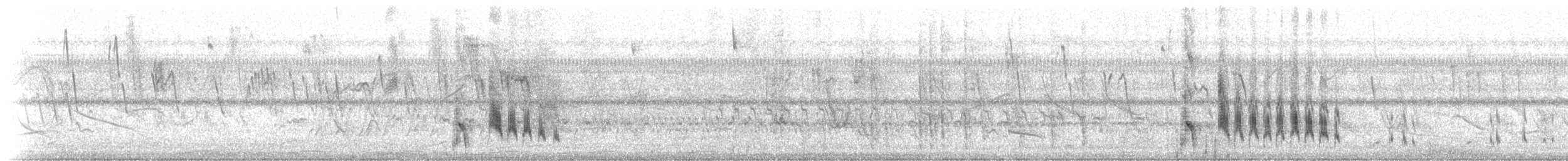 Large Elaenia - ML516954