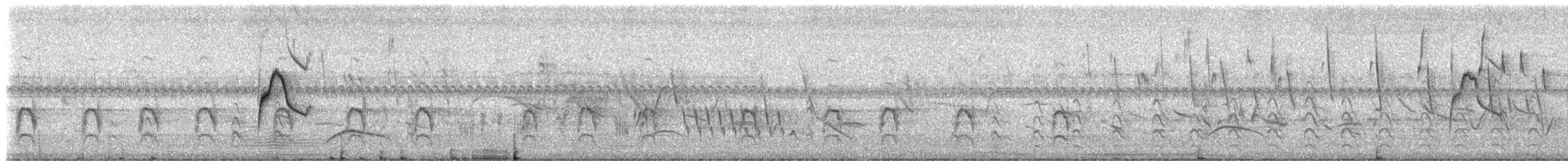 Southern Scrub-Flycatcher - ML516958